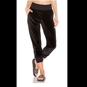 MAAJI VELOUR CROP - BLACK.